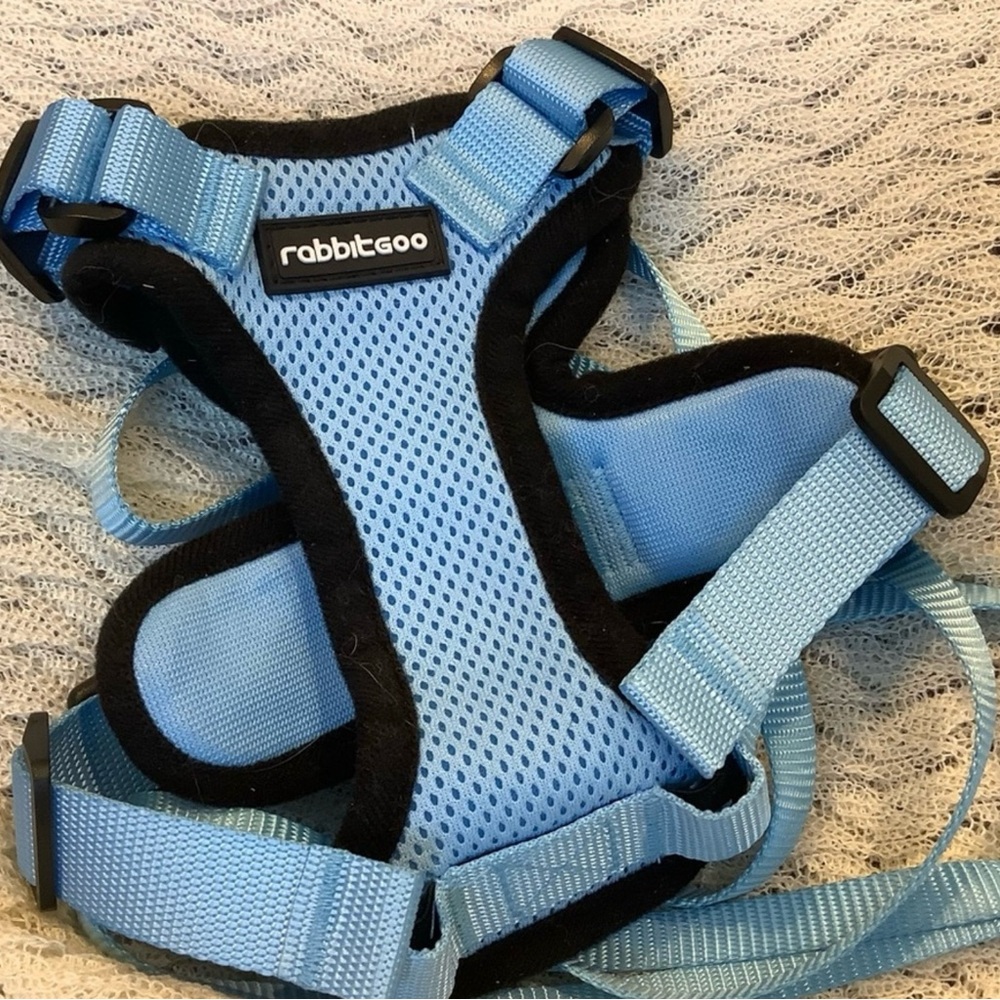 Rabbitgoo Cat Harness and Leash for Walking, Escape Proof Light Blue, XS